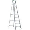 Eagle Stepladder - Load Capacity 225-lb - 10-ft H - Professional - Aluminum -Craftbosch Shop 8708027 L